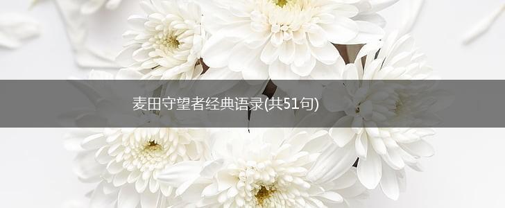 麦田守望者经典语录(共51句),第1张