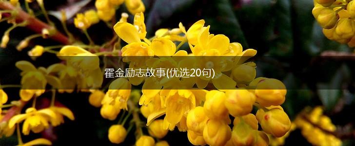 霍金励志故事(优选20句),第1张