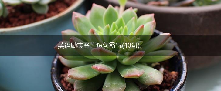 英语励志名言短句霸气(40句),第1张