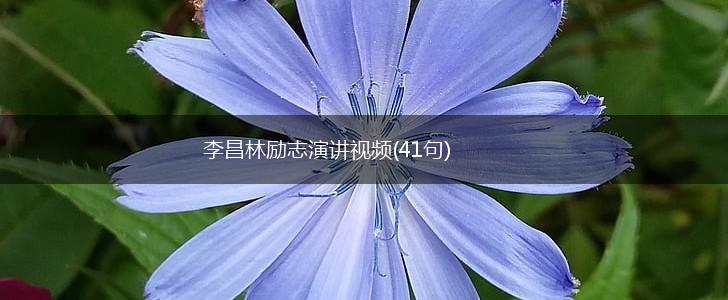 李昌林励志演讲视频(41句),第1张