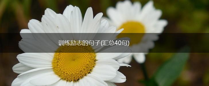 训练励志的句子(汇总40句),第1张