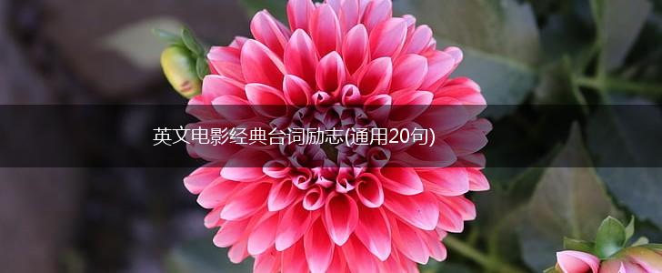 英文电影经典台词励志(通用20句),第1张