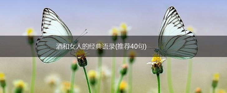 酒和女人的经典语录(推荐40句),第1张
