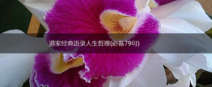 道家经典语录人生哲理(必备79句),第1张
