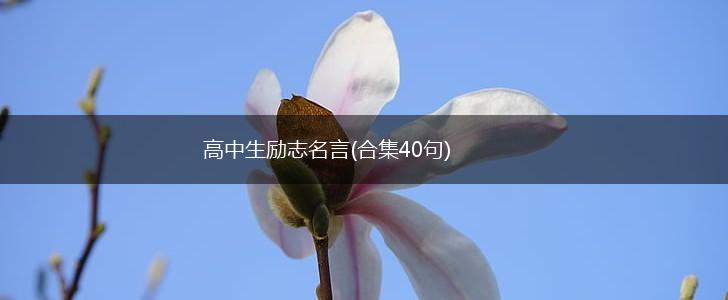 高中生励志名言(合集40句),第1张