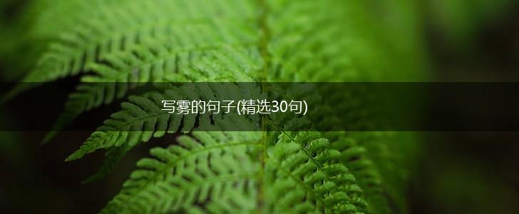写雾的句子(精选30句),第1张