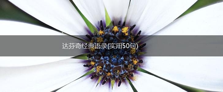 达芬奇经典语录(实用50句),第1张