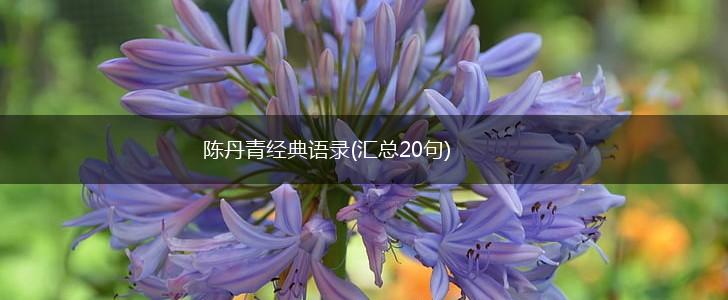 陈丹青经典语录(汇总20句),第1张