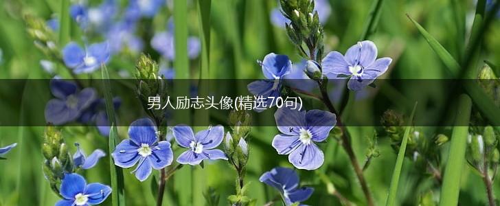 男人励志头像(精选70句),第1张