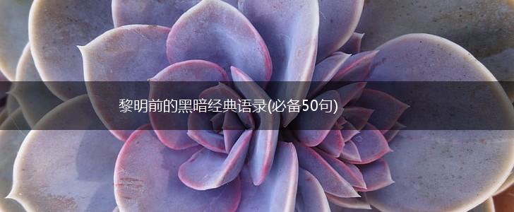 黎明前的黑暗经典语录(必备50句),第1张