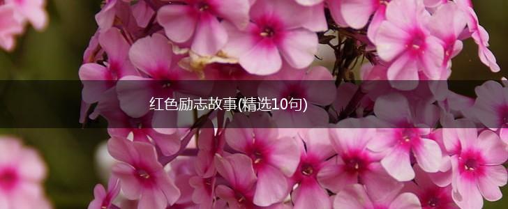红色励志故事(精选10句),第1张