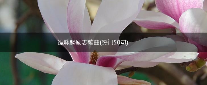谭咏麟励志歌曲(热门50句),第1张