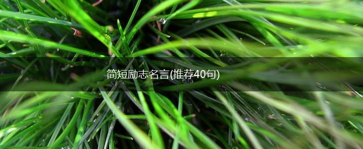 简短励志名言(推荐40句),第1张 简短励志名言(推荐40句),第1张