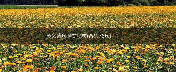 英文诗句唯美励志(合集76句),第1张