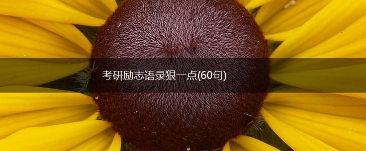 考研励志语录狠一点(60句),第1张 考研励志语录狠一点(60句),第1张