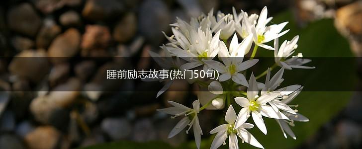 睡前励志故事(热门50句),第1张 睡前励志故事(热门50句),第1张