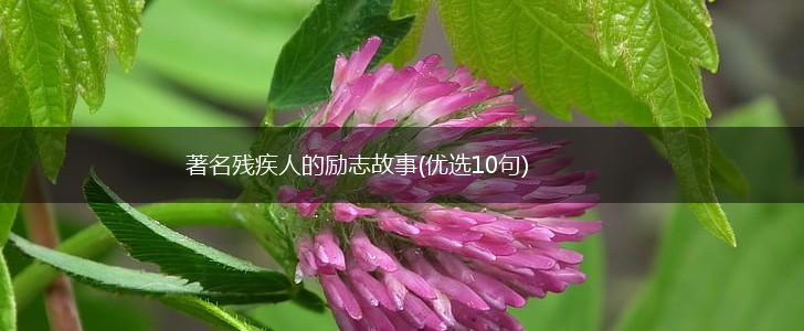 著名残疾人的励志故事(优选10句),第1张