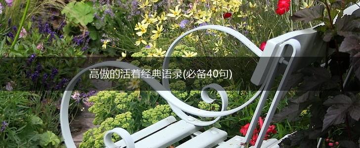高傲的活着经典语录(必备40句),第1张