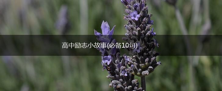 高中励志小故事(必备10句),第1张
