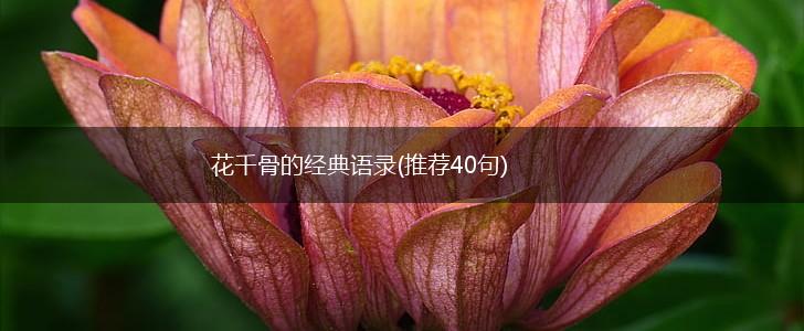 花千骨的经典语录(推荐40句),第1张
