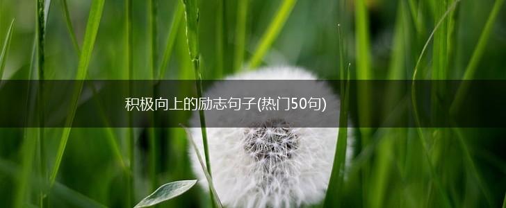 积极向上的励志句子(热门50句),第1张