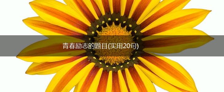 青春励志的题目(实用20句),第1张