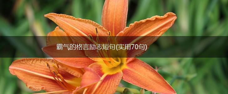 霸气的格言励志短句(实用70句),第1张