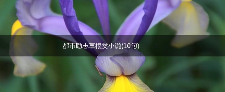 都市励志草根类小说(10句),第1张