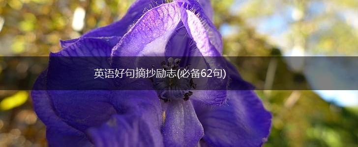 英语好句摘抄励志(必备62句),第1张
