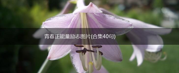 青春正能量励志图片(合集40句),第1张