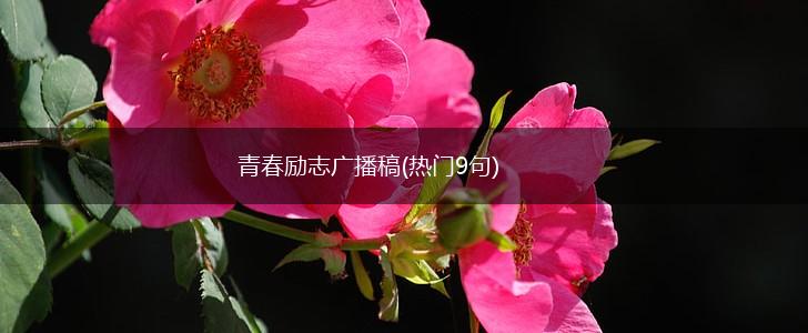 青春励志广播稿(热门9句),第1张