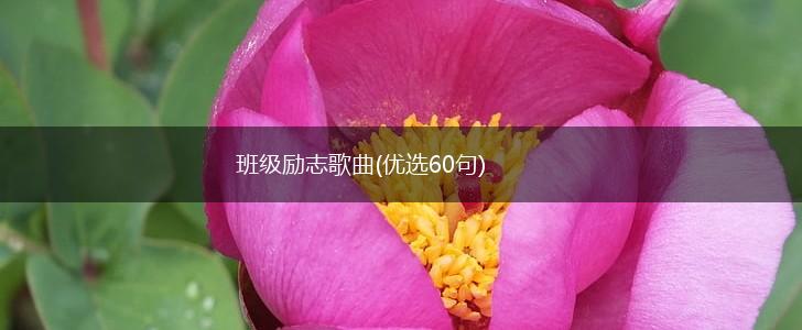 班级励志歌曲(优选60句),第1张