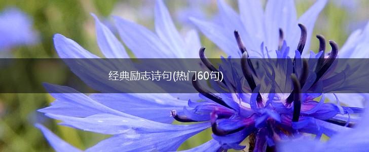 经典励志诗句(热门60句),第1张