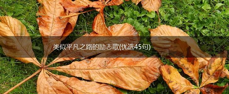 类似平凡之路的励志歌(优选45句),第1张 类似平凡之路的励志歌(优选45句),第1张