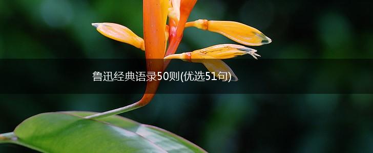 鲁迅经典语录50则(优选51句),第1张