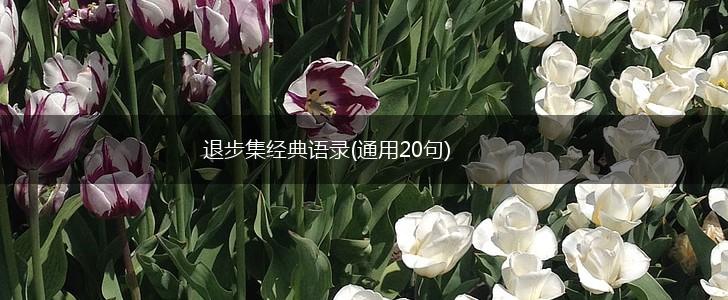 退步集经典语录(通用20句),第1张