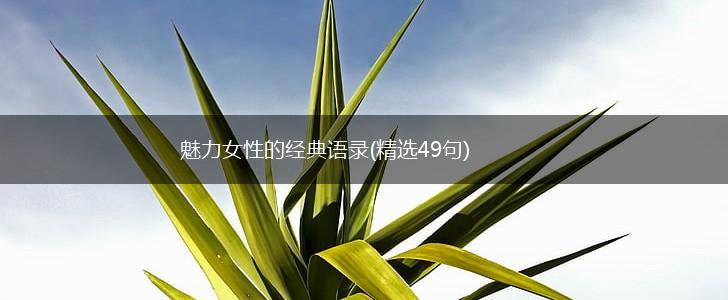 魅力女性的经典语录(精选49句),第1张