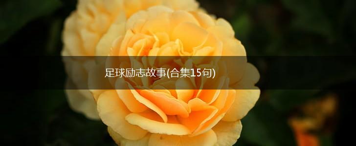 足球励志故事(合集15句),第1张