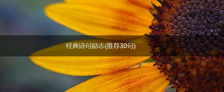 经典诗句励志(推荐30句),第1张 经典诗句励志(推荐30句),第1张