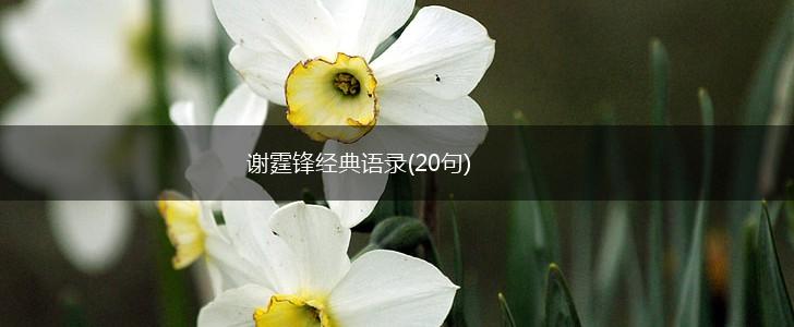 谢霆锋经典语录(20句),第1张