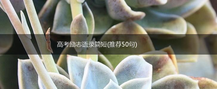 高考励志语录简短(推荐50句),第1张