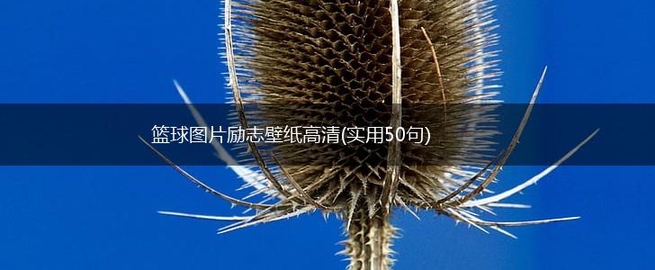 篮球图片励志壁纸高清(实用50句),第1张 篮球图片励志壁纸高清(实用50句),第1张