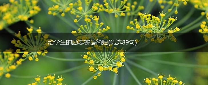 给学生的励志寄语简短(优选89句),第1张