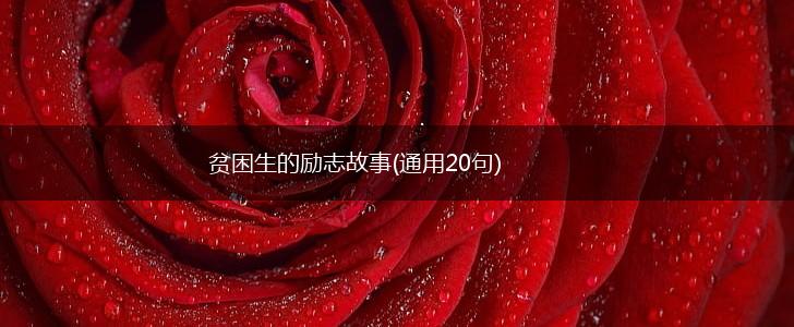 贫困生的励志故事(通用20句),第1张