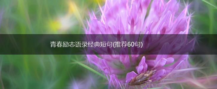 青春励志语录经典短句(推荐60句),第1张