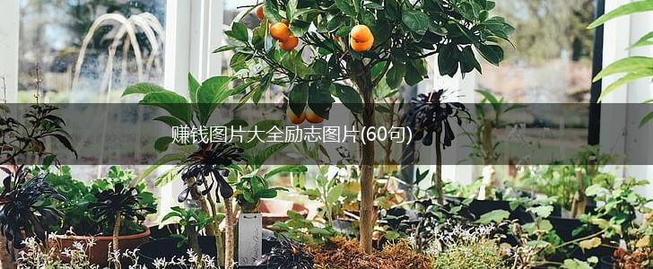 赚钱图片大全励志图片(60句),第1张