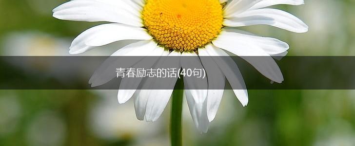 青春励志的话(40句),第1张