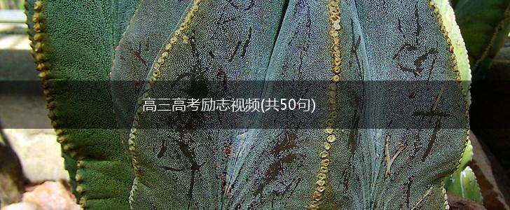 高三高考励志视频(共50句),第1张