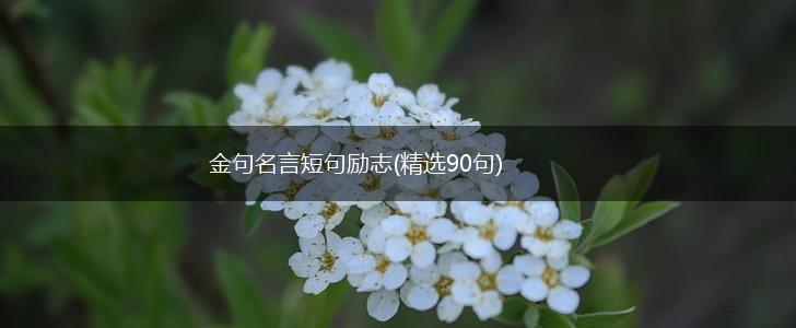 金句名言短句励志(精选90句),第1张