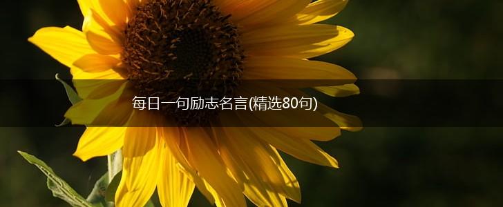每日一句励志名言(精选80句),第1张